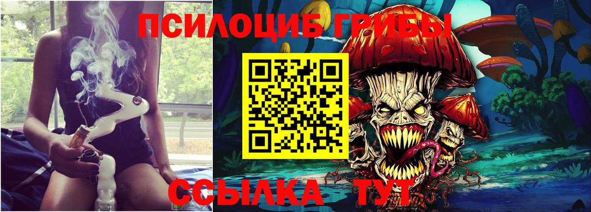 Краснокаменск  Псилоцибиновые грибы Psilocybe  Вход с VPN  Галлюциногенные грибы Magic Shrooms 