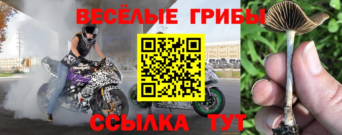 Псилоцибиновые грибы MAGIC MUSHROOMS Краснокаменск